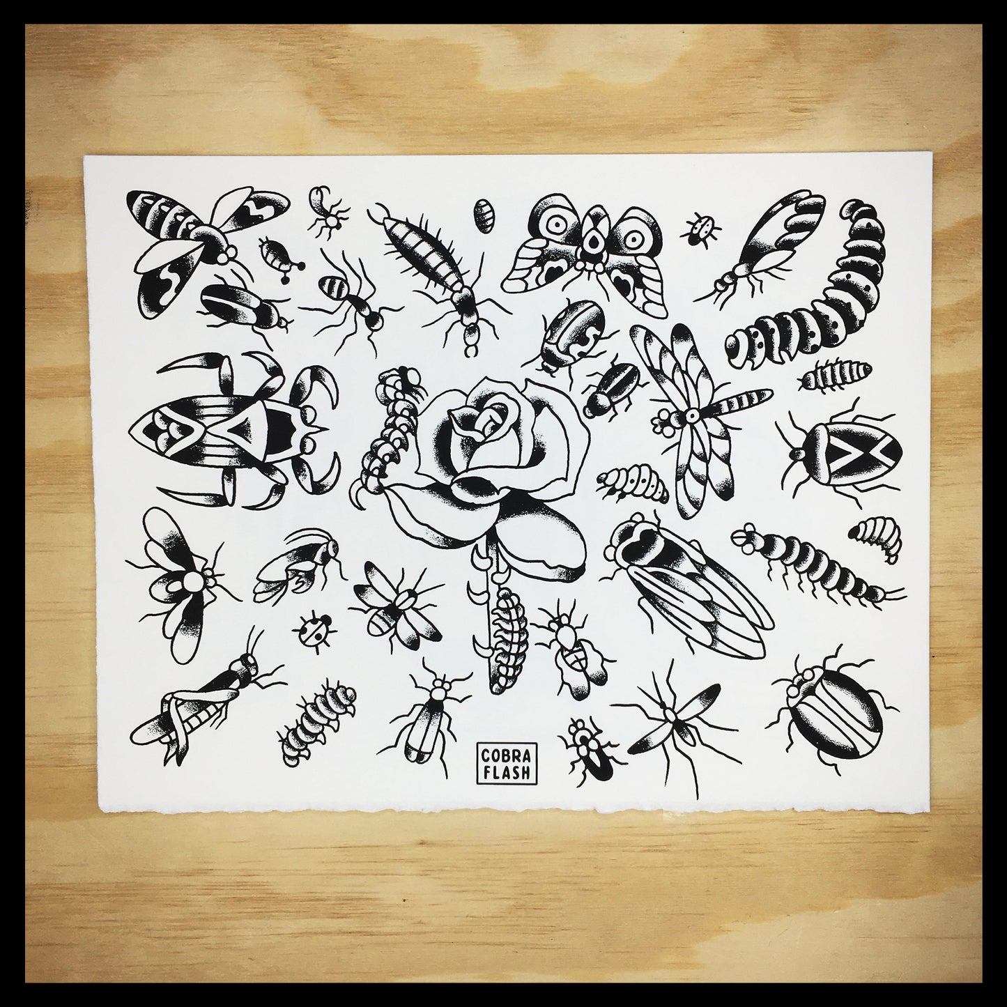 Cobra Flash Set 4