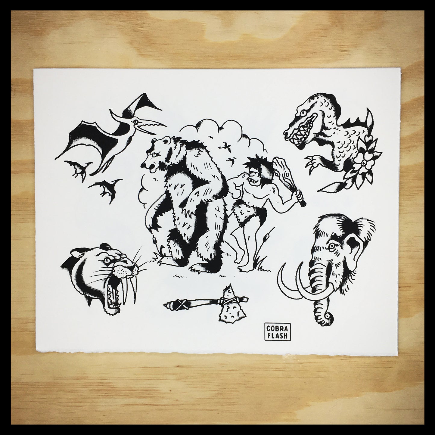 Cobra Flash Set 4