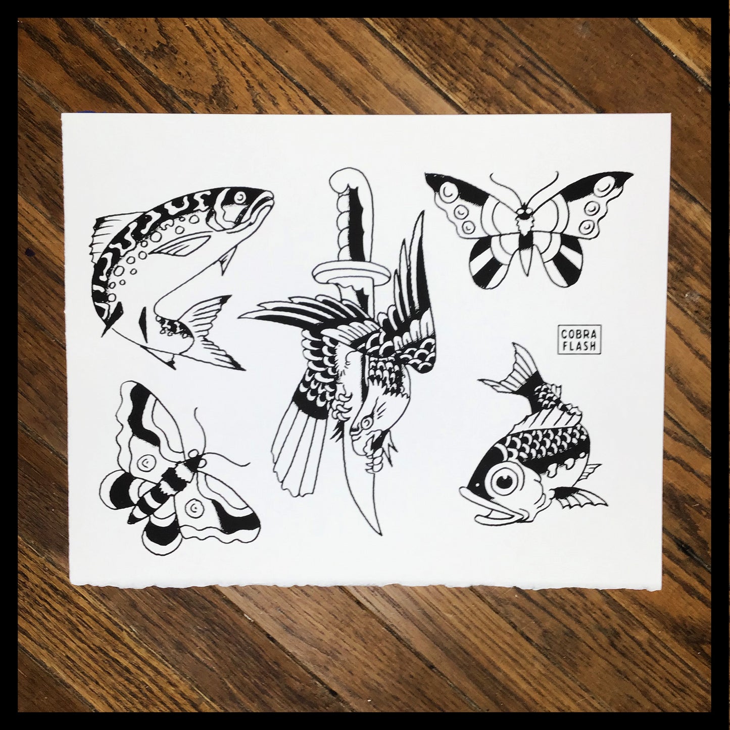 Cobra Flash Set 1