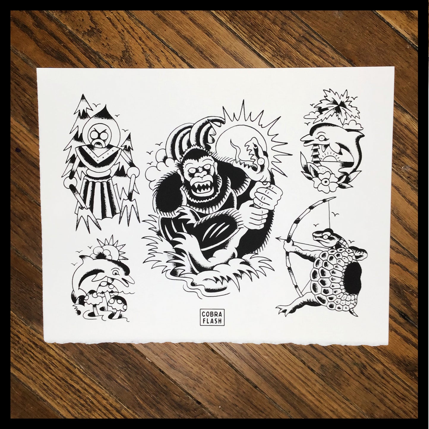 Cobra Flash Set 2