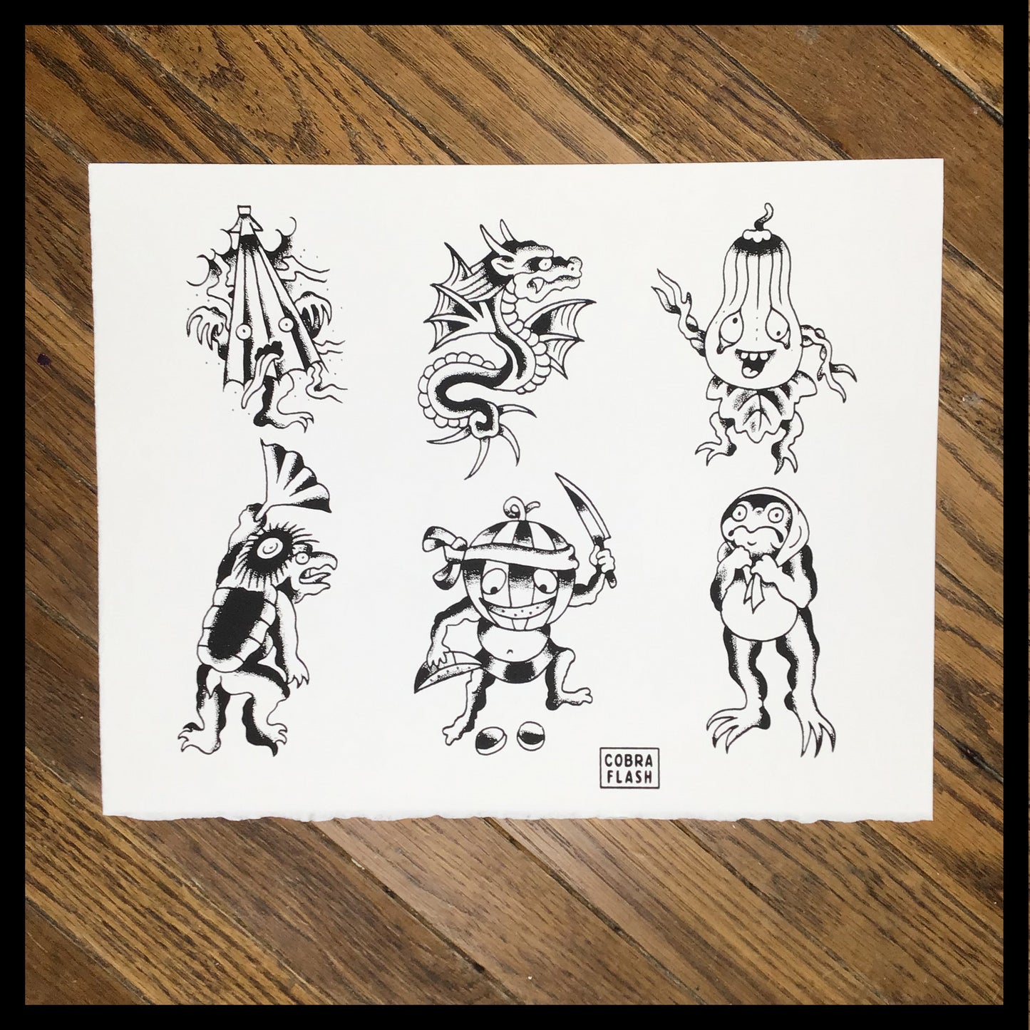 Cobra Flash Set 2