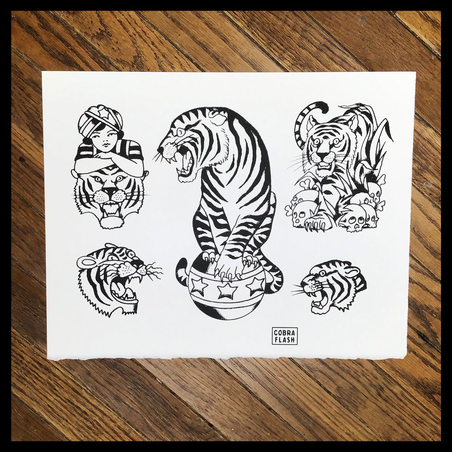 Cobra Flash Set 3